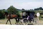 amish-carriage